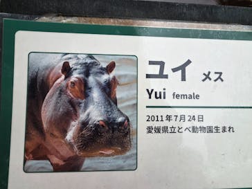 恩賜上野動物園に投稿された画像（2025/10/13）