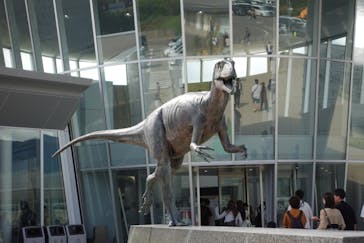 福井県立恐竜博物館に投稿された画像（2025/10/13）