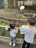 恩賜上野動物園に投稿された画像（2025/10/14）