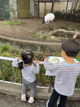 恩賜上野動物園に投稿された画像（2025/10/13）