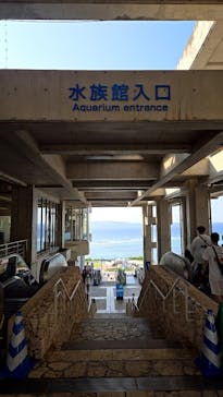 沖縄美ら海水族館に投稿された画像（2025/10/13）