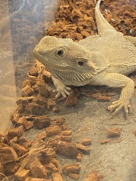 NARA IKIMONO MUSEUMに投稿された画像（2025/10/13）