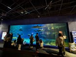 アクアワールド茨城県大洗水族館に投稿された画像（2025/10/14）
