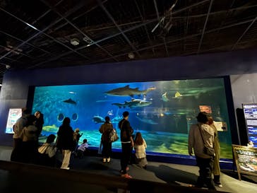 アクアワールド茨城県大洗水族館に投稿された画像（2025/10/13）