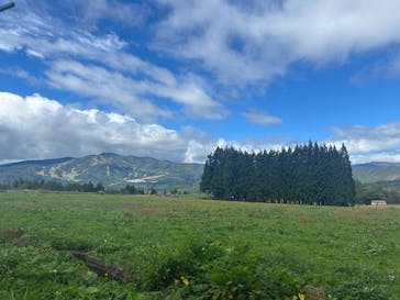 ひるがのピクニックガーデンに投稿された画像（2025/10/13）