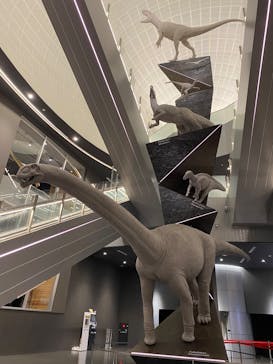 福井県立恐竜博物館に投稿された画像（2025/10/13）