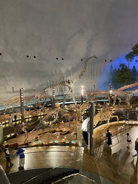 福井県立恐竜博物館に投稿された画像（2025/10/13）
