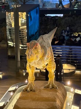 福井県立恐竜博物館に投稿された画像（2025/10/13）