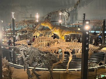 福井県立恐竜博物館に投稿された画像（2025/10/13）