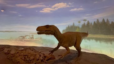 福井県立恐竜博物館に投稿された画像（2025/10/13）