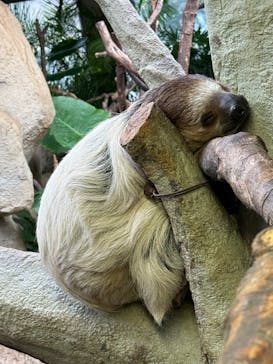 那須どうぶつ王国に投稿された画像（2025/10/13）