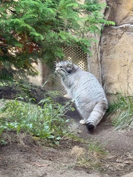 那須どうぶつ王国に投稿された画像（2025/10/13）