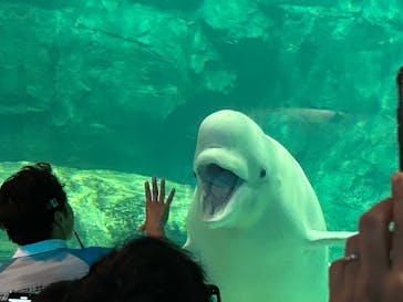 名古屋港水族館に投稿された画像（2025/10/13）