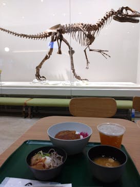 福井県立恐竜博物館に投稿された画像（2025/10/14）