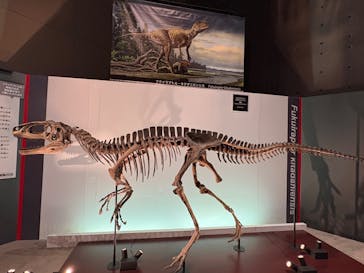 福井県立恐竜博物館に投稿された画像（2025/10/14）
