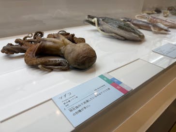 特別展「和食～日本の自然、人々の知恵～」＠静岡に投稿された画像（2025/10/14）