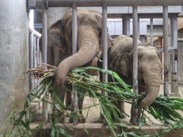 名古屋市東山動植物園に投稿された画像（2025/10/14）
