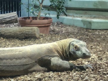 名古屋市東山動植物園に投稿された画像（2025/10/14）