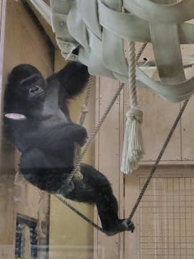 名古屋市東山動植物園に投稿された画像（2025/10/14）