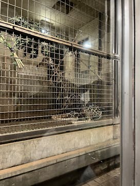 恩賜上野動物園に投稿された画像（2025/10/14）