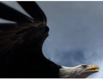 那須どうぶつ王国に投稿された画像（2025/10/14）