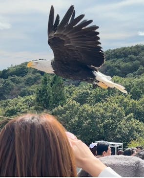那須どうぶつ王国に投稿された画像（2025/10/14）