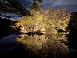 夜間特別開園 秋の夜長の小石川後楽園2025に投稿された画像（2025/10/14）