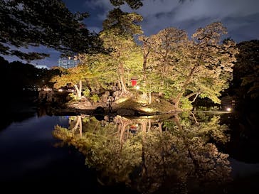夜間特別開園 秋の夜長の小石川後楽園2025に投稿された画像（2025/10/14）