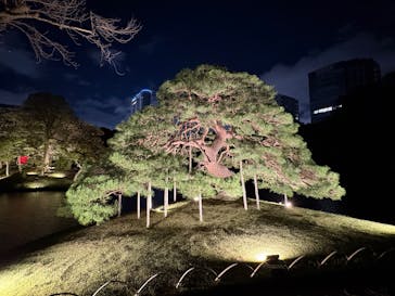 夜間特別開園 秋の夜長の小石川後楽園2025に投稿された画像（2025/10/14）
