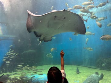 越前松島水族館に投稿された画像（2025/10/14）