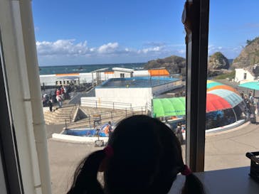 越前松島水族館に投稿された画像（2025/10/14）