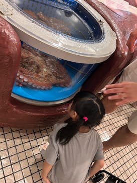 越前松島水族館に投稿された画像（2025/10/14）