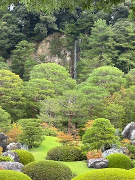 足立美術館に投稿された画像（2025/10/14）