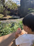 天王寺動物園に投稿された画像（2025/10/14）