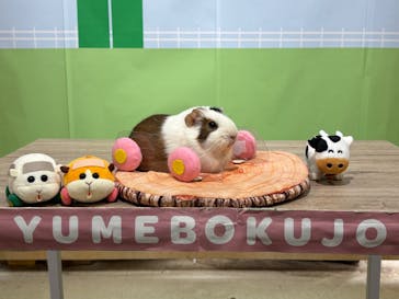 成田ゆめ牧場に投稿された画像（2025/10/14）