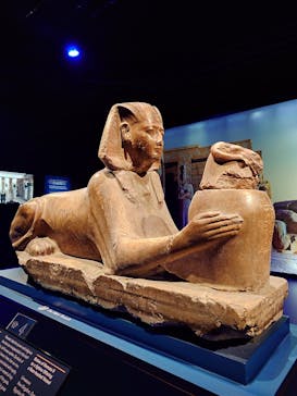 ACN ラムセス大王展 ファラオたちの黄金に投稿された画像（2025/10/14）