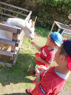 長崎バイオパークに投稿された画像（2025/10/14）