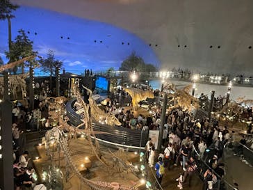 福井県立恐竜博物館に投稿された画像（2025/10/14）