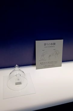 正倉院 THE SHOW ―感じる。いま、ここにある奇跡―　@上野の森美術館に投稿された画像（2025/10/14）