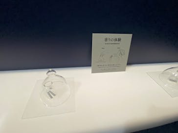 正倉院 THE SHOW ―感じる。いま、ここにある奇跡―　@上野の森美術館に投稿された画像（2025/10/14）