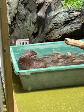 竹島水族館に投稿された画像（2025/10/14）