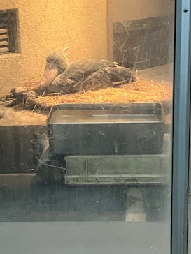 恩賜上野動物園に投稿された画像（2025/10/14）