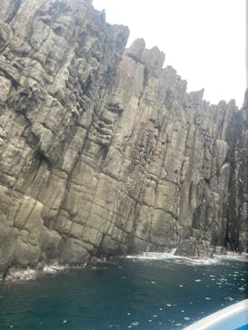 東尋坊観光遊覧船株式会社に投稿された画像（2025/10/14）