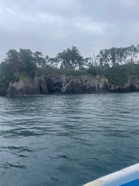 東尋坊観光遊覧船株式会社に投稿された画像（2025/10/14）