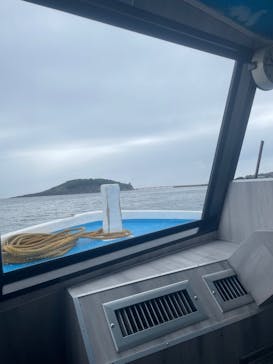 東尋坊観光遊覧船株式会社に投稿された画像（2025/10/14）