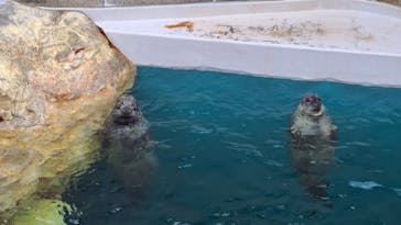 大分マリーンパレス水族館 「うみたまご」に投稿された画像（2025/10/14）