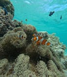 宮古島マリン SUGAR3（シュガースリー）に投稿された画像（2025/10/14）