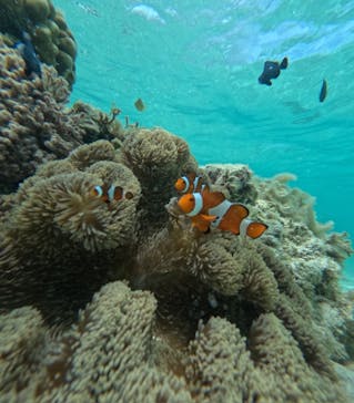 宮古島マリン SUGAR3（シュガースリー）に投稿された画像（2025/10/14）