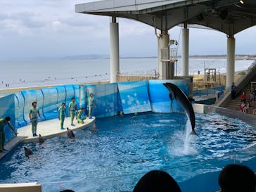 新江ノ島水族館に投稿された画像（2025/10/14）