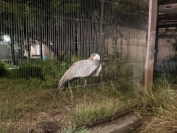 恩賜上野動物園に投稿された画像（2025/10/14）